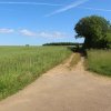IMG_8649